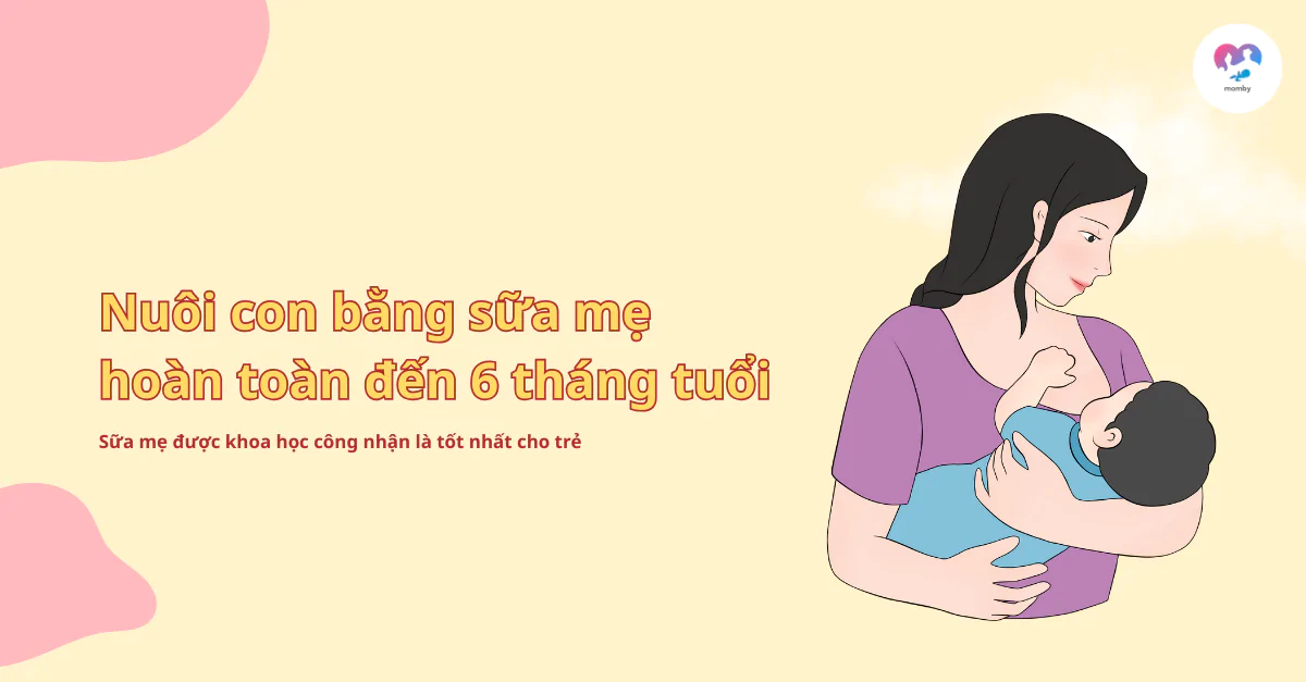 Nuôi con bằng sữa mẹ hoàn toàn đến 6 tháng tuổi