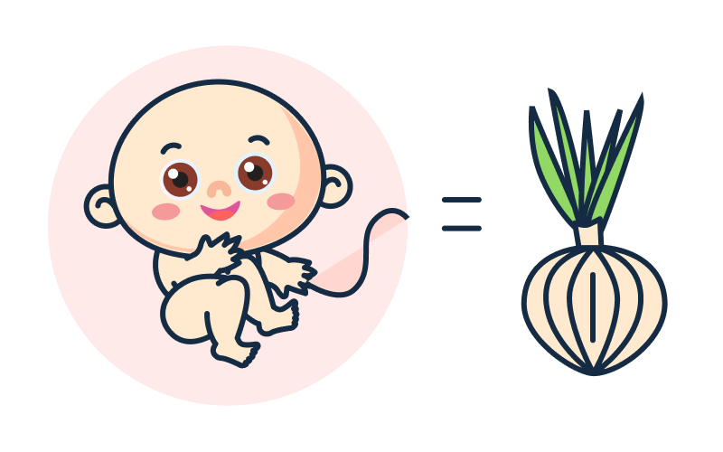 Tuần 17 Thai Kỳ